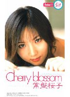 Cherry blossomのジャケット