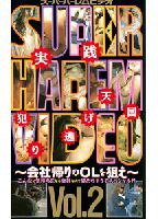 スーパーハーレムビデオVol.2 ～会社帰りのOLを狙え～のジャケット