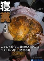 寝糞のジャケット